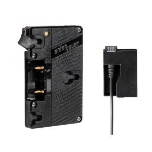 Wooden Camera WC Gold Mount (T2i