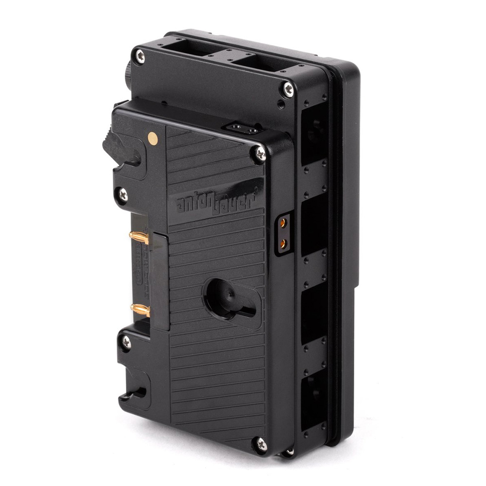 Wooden Camera D-Box™ (Gold Mount Battery Side to V-Mount Camera Side
