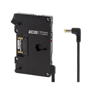 Wooden Camera WC Pro Gold Mount (Canon C100